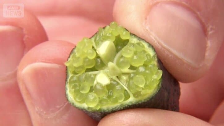 キャビアのような粒状の果肉