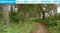 富山に体長1mのクマ 「緊急銃猟」で駆除