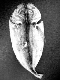 大沢樹生、愛娘からの衝撃的な一言に動揺「パパのお口お魚の臭いがする」