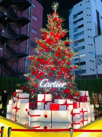 だいたひかる『結婚指輪の思い出』