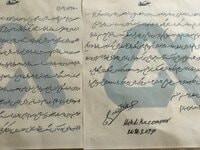 泰葉『メィヒディの手紙 全文』