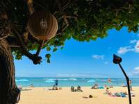 薬丸裕英『ホノルルランチ』