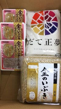 狩野英孝『お米』