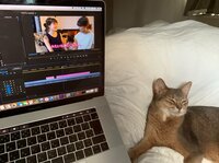 桃『今夜はイケメンのお祝い！』