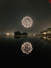 スザンヌ『江津湖花火大会2019』