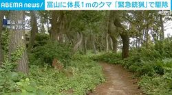 富山に体長1mのクマ 「緊急銃猟」で駆除