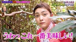 井上咲楽、無人島でアリを爆食い！「美味しい」と興奮する姿にバイきんぐ小峠ドン引き