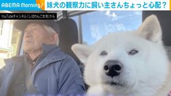 おじいちゃんと超仲良しの柴犬 後輩犬に飼い主が唯一“学んでほしくない”こと