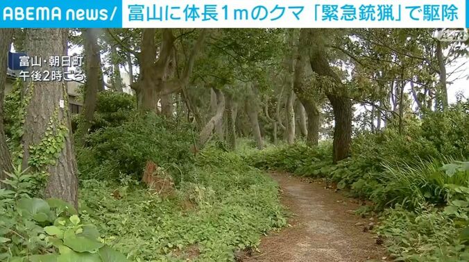 富山県朝日町