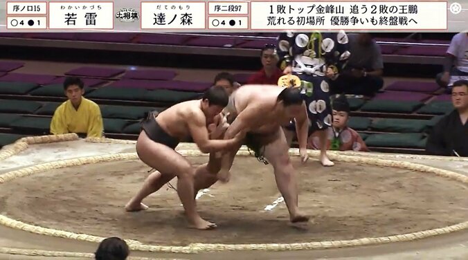 序ノ口十五枚目・若雷（雷）