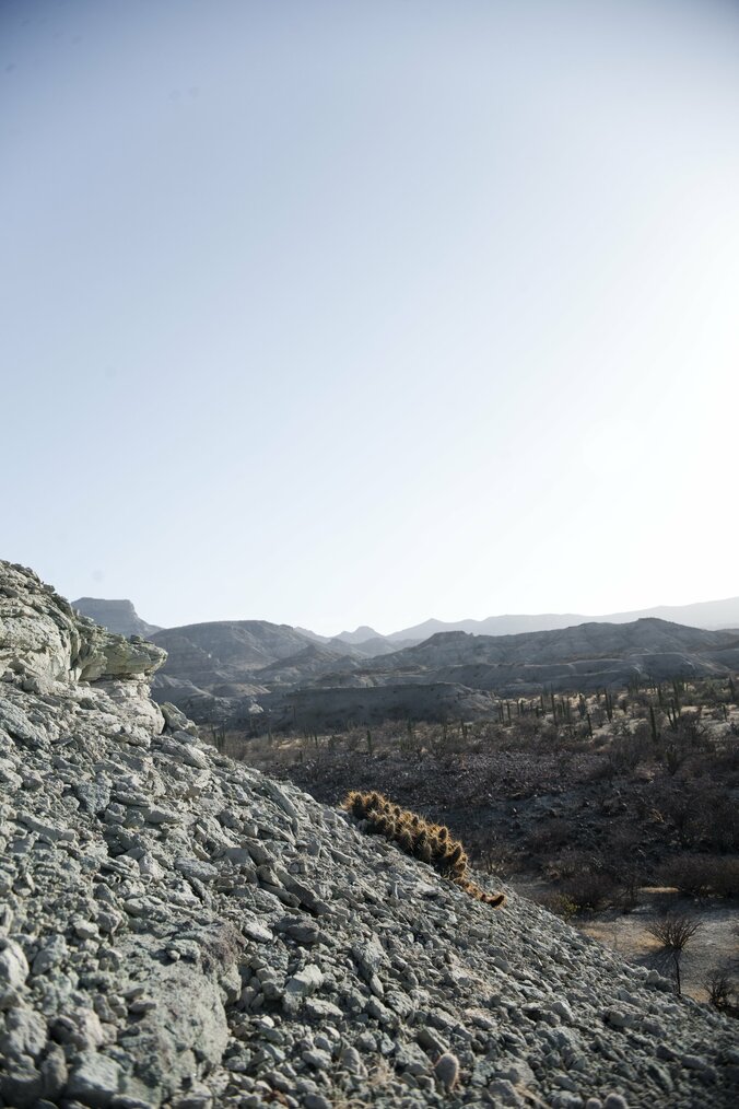 アメリカ=メキシコ間の国境問題を描く衝撃作『ノー・エスケープ 自由への国境』　過酷なロケ地写真を公開 9枚目