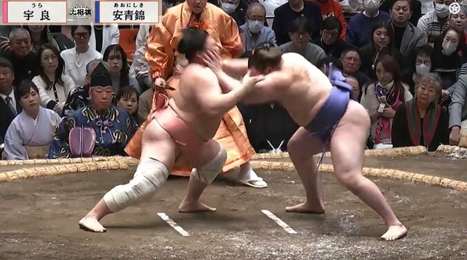 宇良よりも低く当たった安青錦