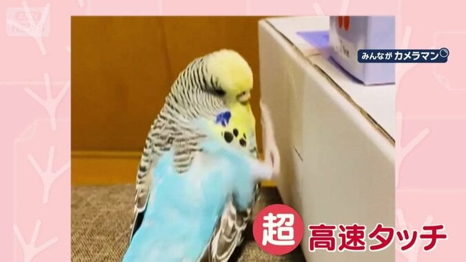 “超”高速タッチ！