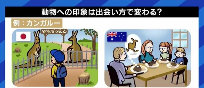 韓国では消えゆく「犬食文化」、北朝鮮では今も“夏の滋養食”? 食文化と動物愛護の境界線って 10枚目