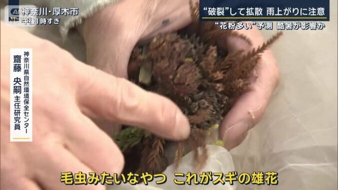 神奈川県自然環境保全センター　齋藤央嗣主任研究員