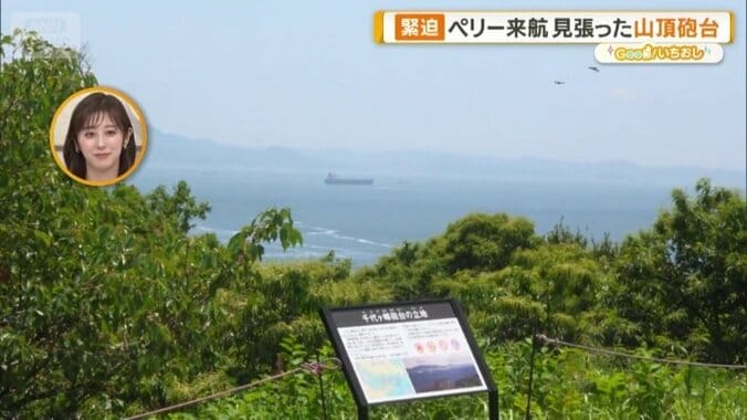 海を一望できる