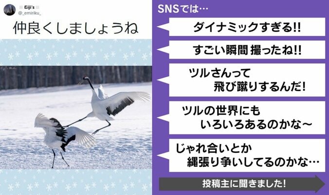 SNSの声