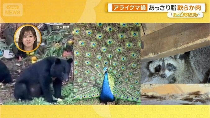 害獣ジビエ鍋が人気　熊・孔雀・アライグマで命を無駄にしない店 1枚目
