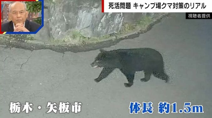 栃木・矢板市に出没したクマ
