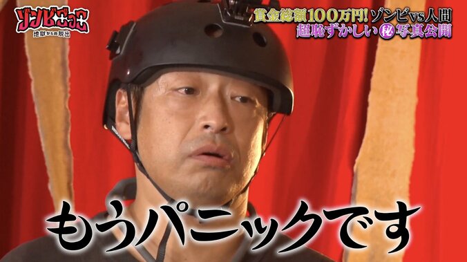 【写真・画像】　2枚目