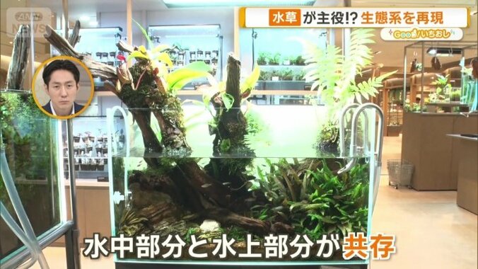 水中部分と水上部分が共存