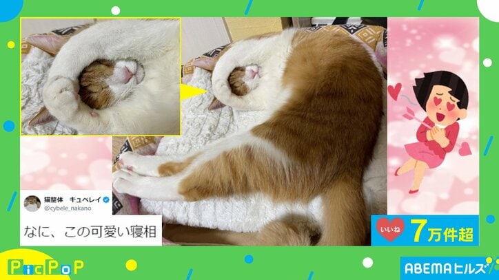 【写真・画像】 2枚目