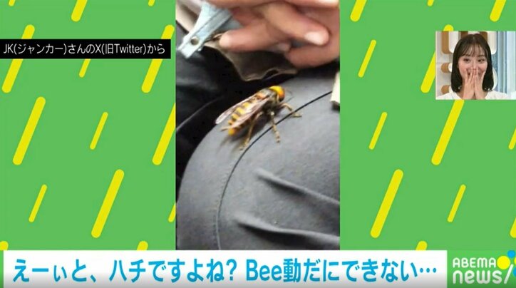 乗客の膝上に乗る“黄色い物体” 偶然遭遇した戦慄の事態に「こんなの前にいたらパニック」「模型?って疑うほどの大きさ」と反響続々