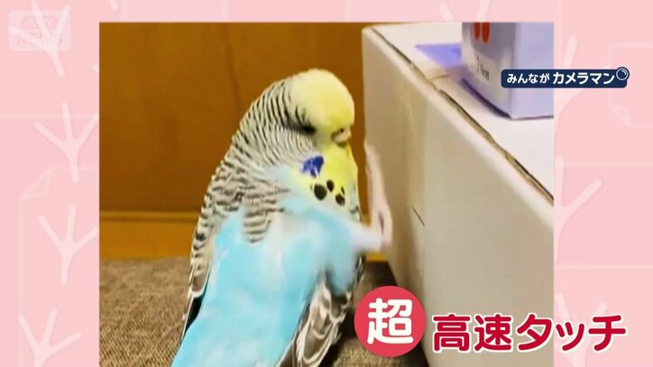 “超”高速タッチ！