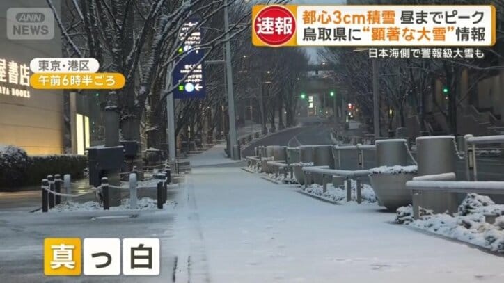 六本木の歩道は一面真っ白