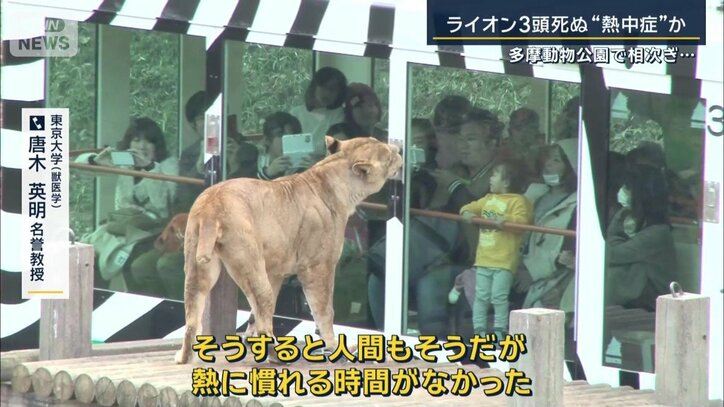 東京大学(獣医学) 唐木英明名誉教授