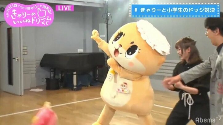 ちぃたん☆頭の”カメちゃん”ズリ落ちまくり、10回の落下にきゃりーが助言「縫ったほうがいいよ」