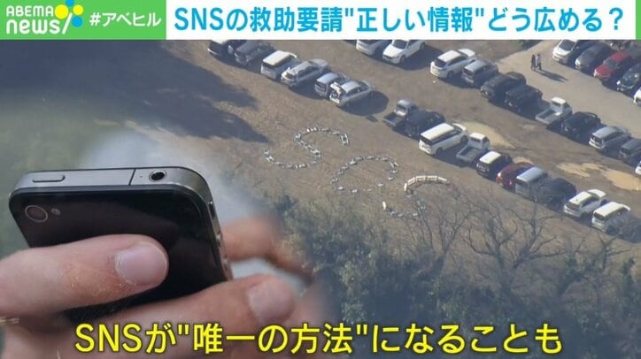 【写真・画像】　2枚目