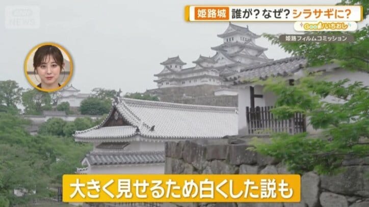 大きく見せるために白くした説も