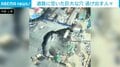 中国・上海で道路陥没 巨大な穴が発生 人々は逃げ惑う一部始終