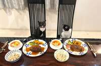 藤あや子『昨日の晩ごはん』