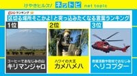けやきヒルズ【平日ひる12時～生放送】 - ネットピ - え!そこ!?「キリマンジャロ」の区切るところが意外すぎる! | 動画視聴は【Abemaビデオ(AbemaTV)】