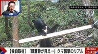 【映像】クマに遭遇した場合の防御姿勢