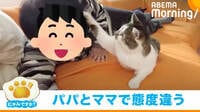 ママとの添い寝は幸せ、パパに代わると猫パンチ