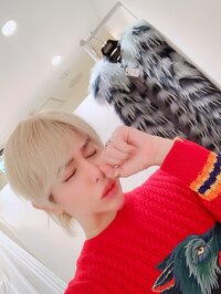 アレン『絶句、衝撃…‼️81万5000円のヴェルサーチェのファーの、売却金額…‼️』