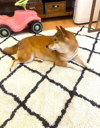 尾形あい『難しすぎるから!!!』