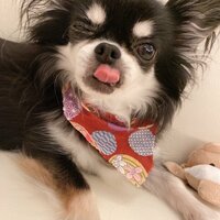 小柳ルミ子『我が家の電気代(*≧∀≦*)』