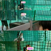 杉浦太陽『みんなでバッティングセンター』