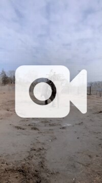 渡辺美優紀『もんきー』