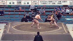 「側転出たw」"極細イケメン"マッチョ力士　驚異の身体能力に「アクション俳優かな？」熱視線