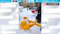 降り積もった雪で“キュートな動物”を大量生産 画期的な遊び方に「良い音」「ベランダでこっそり生産しようかな…w」230万回再生