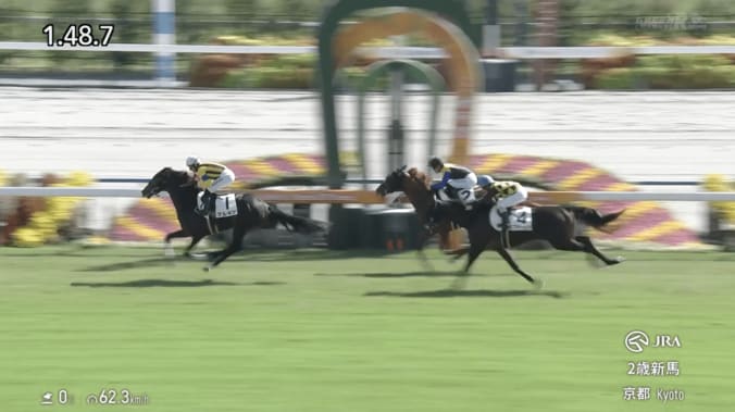 【映像】“ちっちゃかわいい”デビュー牝馬、驚きの豪快差し（実際の様子）