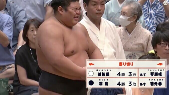 痛みをこらえる伯桜鵬