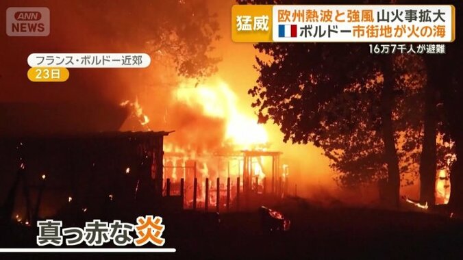 建物は骨組みだけに