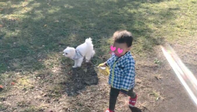 保田圭、息子が初めて愛犬の散歩に挑戦「転んでもリードだけは離さず」 1枚目