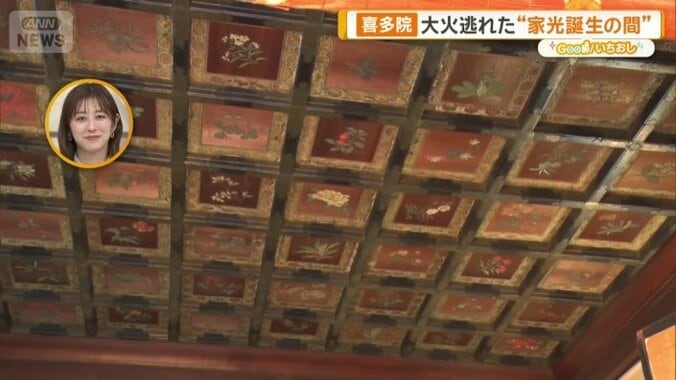 天井には草花の絵81枚